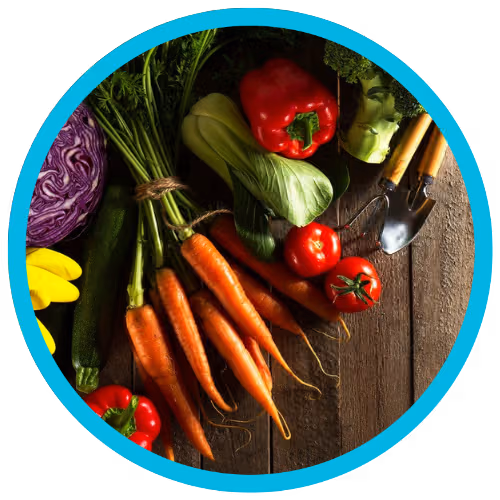Vegetables